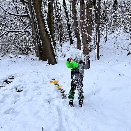 Srub V Bolkovskem Udoli Villa Rudnik Bagian luar foto