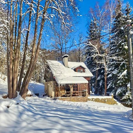 Srub V Bolkovskem Udoli Villa Rudnik Bagian luar foto
