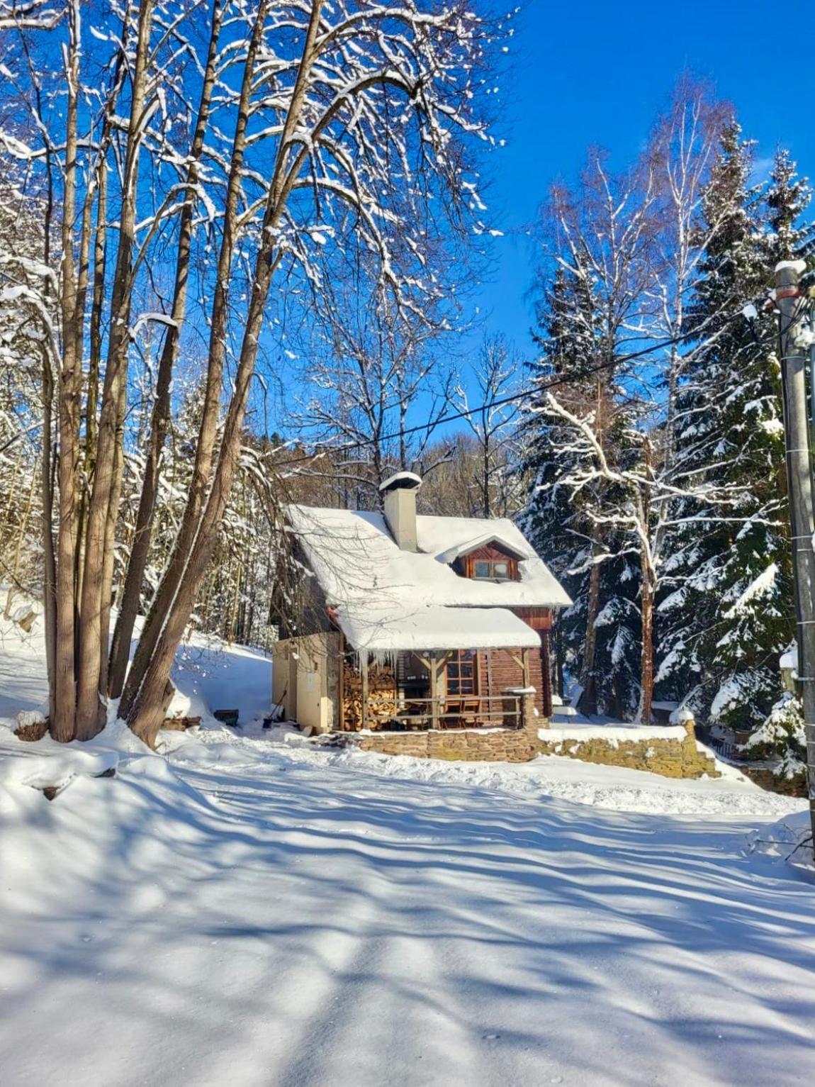 Srub V Bolkovskem Udoli Villa Rudnik Bagian luar foto